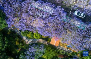 穿着、防蚊与拍摄提醒