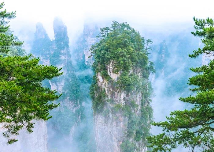 第二天武陵源核心景区·峰林奇观(2)