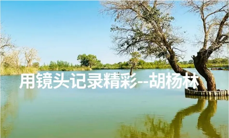 Day4伊宁/清水河→薰衣草庄园→那拉提草原→那拉提(2)