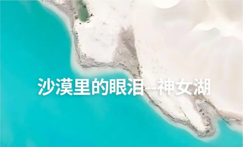Day4伊宁/清水河→薰衣草庄园→那拉提草原→那拉提