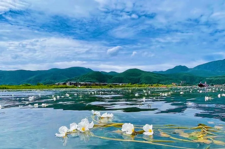 晚餐(2)