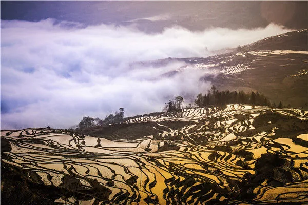6-Day Classic In-Depth Tour of Yunnan: Kunming Dianchi Lake &