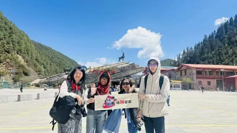 亲子游案例
