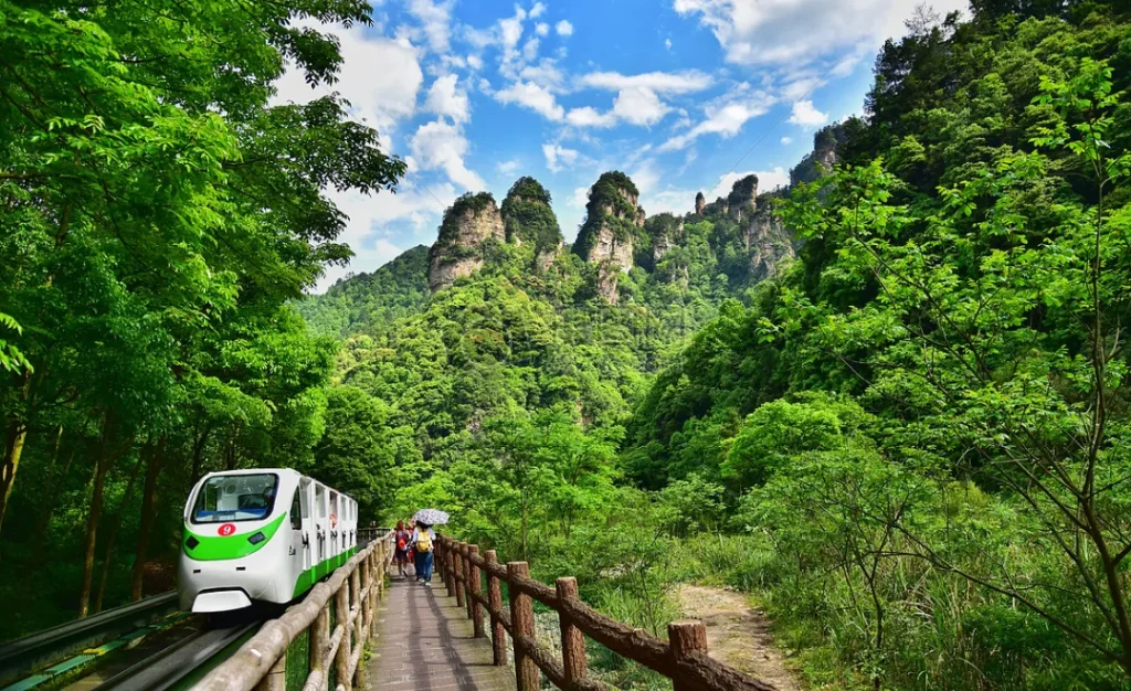 张家界徒步旅行指南金鞭溪与十里画廊的沉浸式自然体验