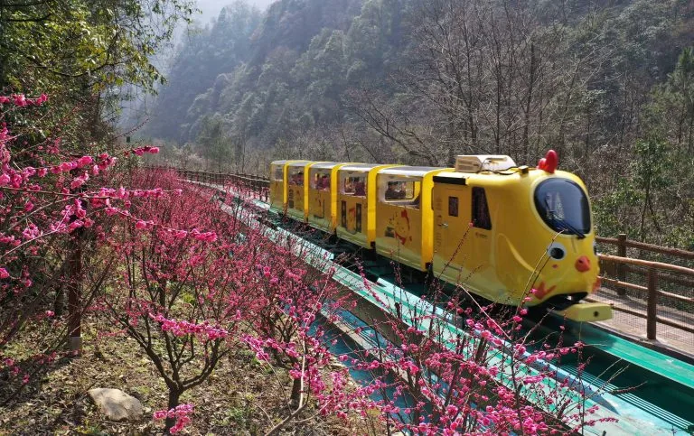 第四天天门山轻量游