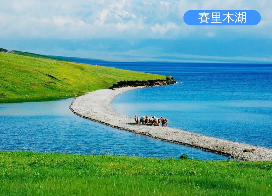 从天山脚下飞到阿尔泰山脚下