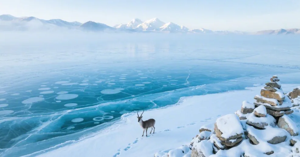 7-Day Tibet Winter Budget Guide | Sunbathing in Lhasa + Frozen