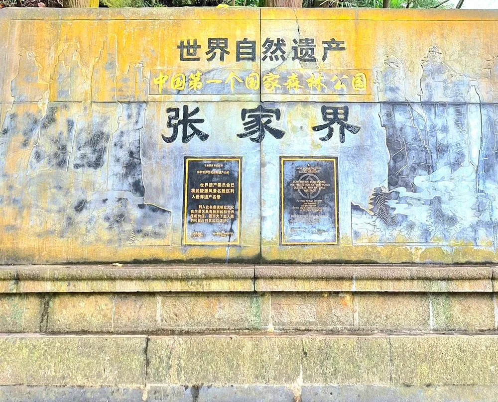 第二天森林公园小火车+金鞭溪前半段戏水