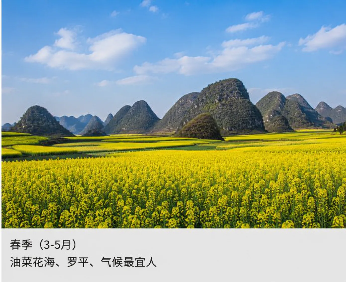 春季
