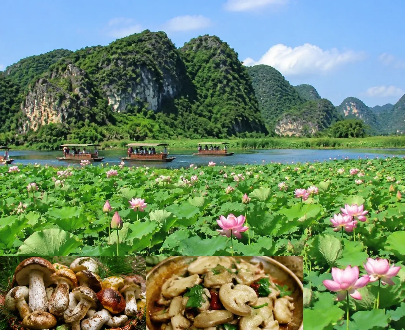 夏季