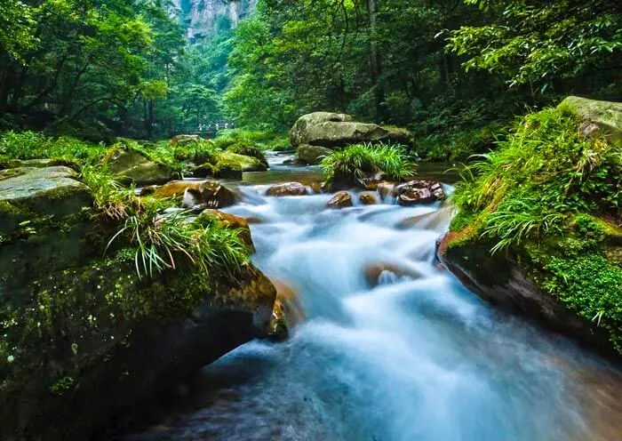Zhangjiajie 5-Day Panoramic Tour | - Forest Park + Tianmen - Image 3