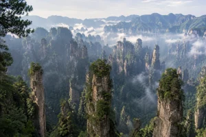 张家界袁家界石英砂岩峰林全景